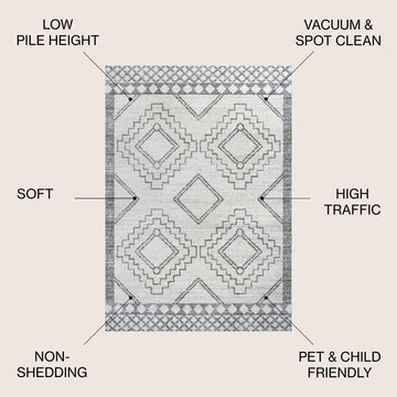 Amir Moroccan Beni Souk Area Rug